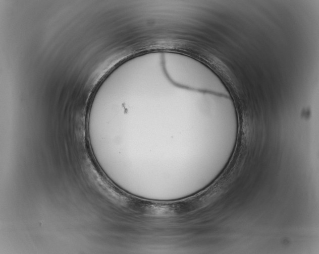 X0000113170794200909251416