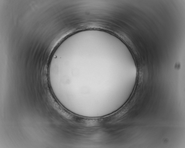 X0000113170798200909251416