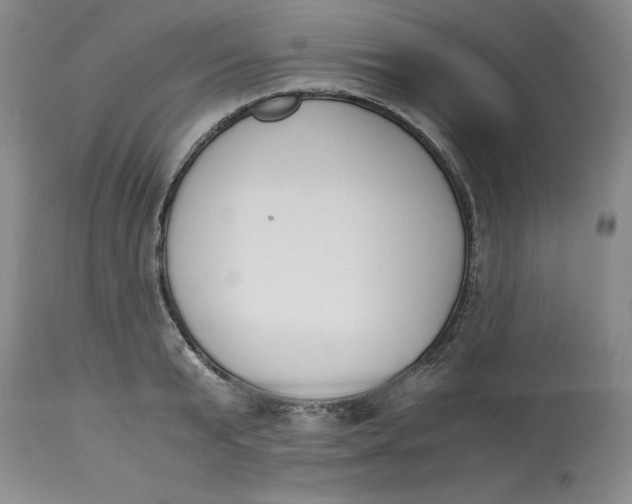 X0000113170799200909251416