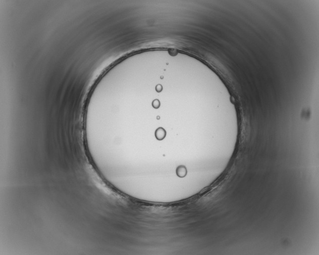 X0000113170800200909251416