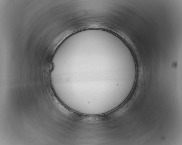 X0000113170801200909251416