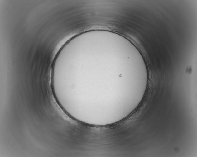 X0000113170804200909251416