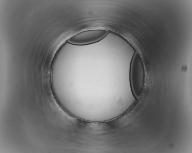 X0000113170805200909251416