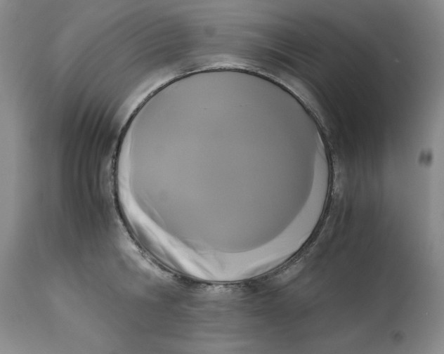 X0000113170806200909251416