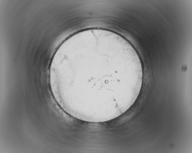 X0000113170807200909251416