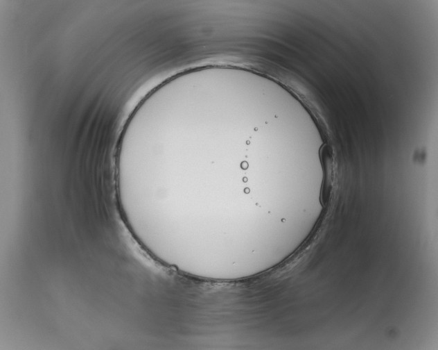 X0000113170808200909251416