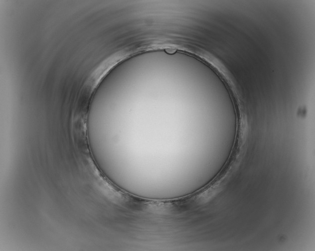 X0000113170809200909251415