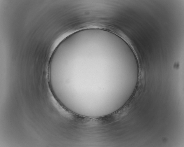 X0000113170811200909251415