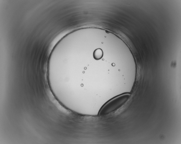 X0000113170812200909251415