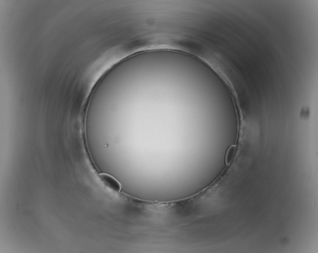 X0000113170813200909251415