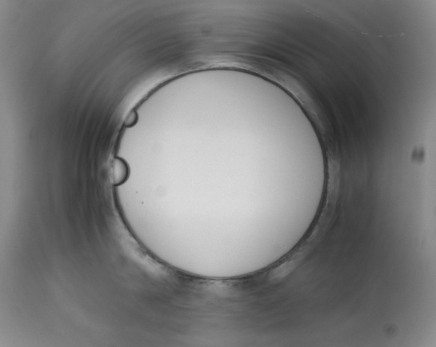 X0000113170814200909251415