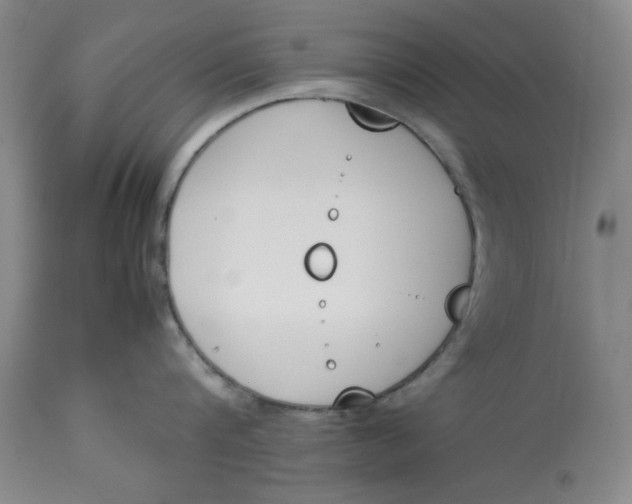 X0000113170816200909251415