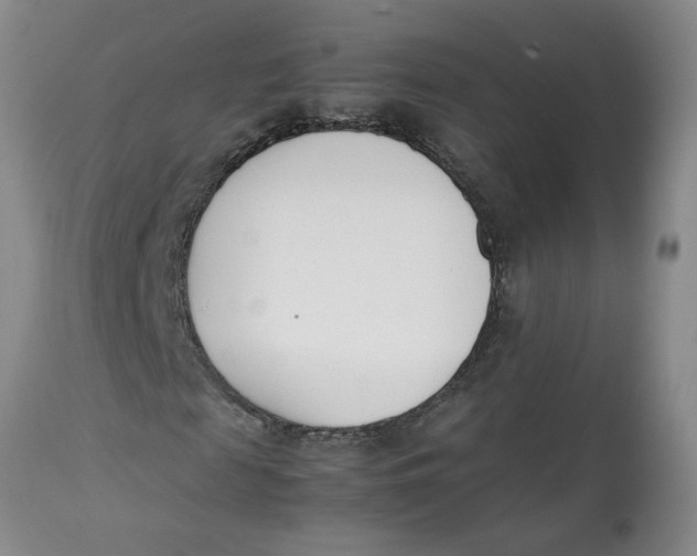 X0000113170817200909251414