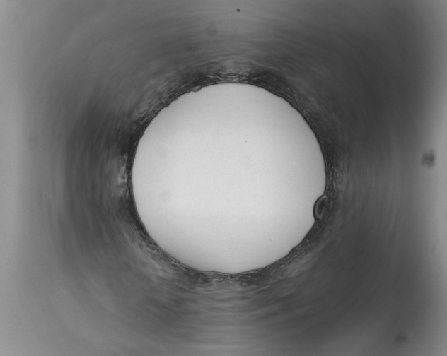 X0000113170818200909251414