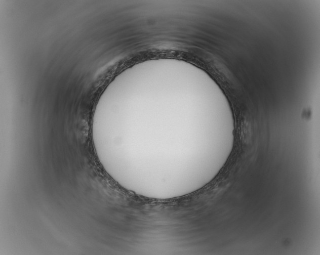 X0000113170821200909251414