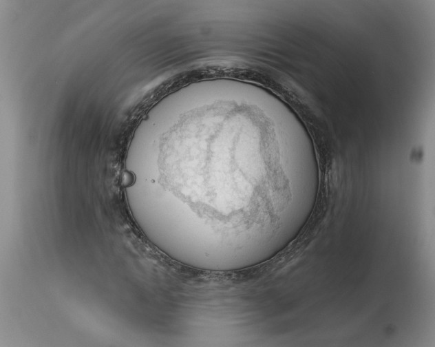 X0000113170822200909251414