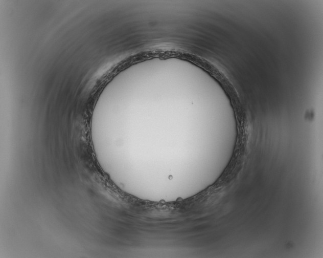 X0000113170823200909251414