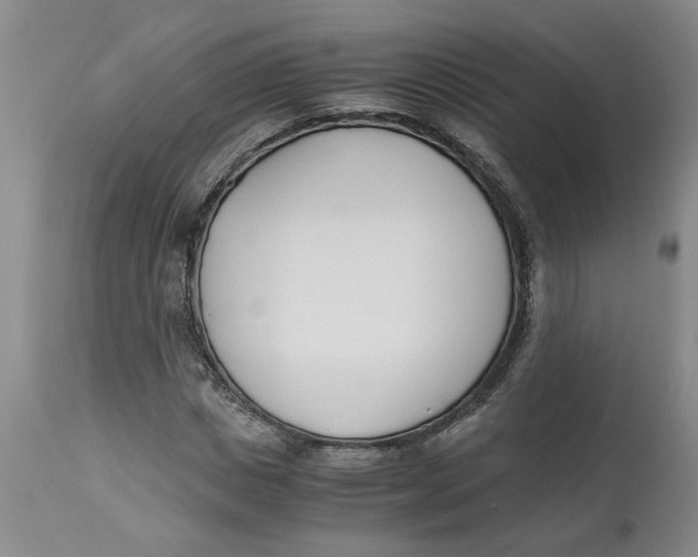 X0000113170825200909251414