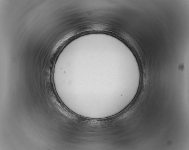 X0000113170827200909251414