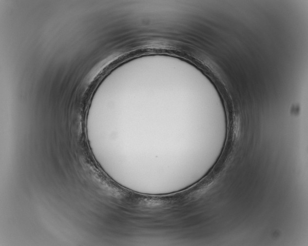 X0000113170829200909251415