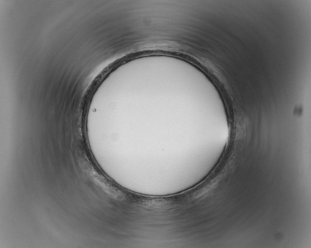 X0000113170830200909251415