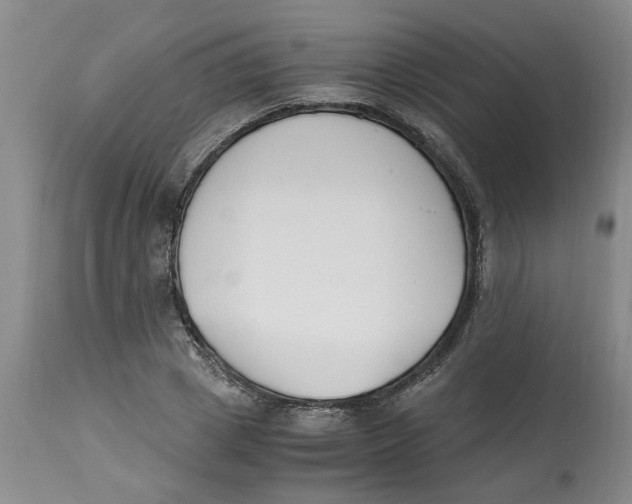 X0000113170833200909251415