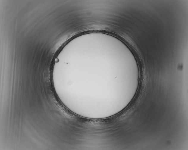 X0000113170834200909251415