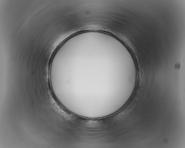 X0000113170839200909251415