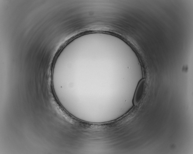 X0000113170840200909251415