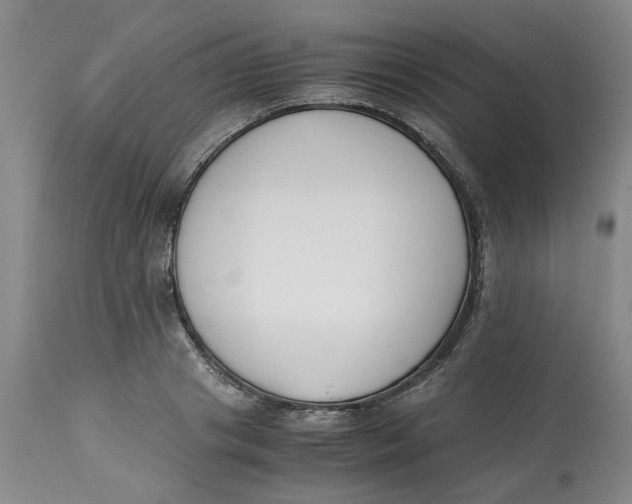 X0000113170841200909251415