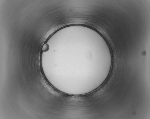 X0000113170842200909251415