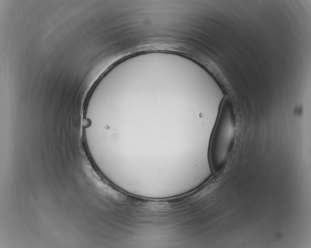 X0000113170844200909251415