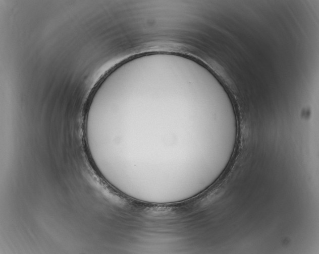 X0000113170846200909251415