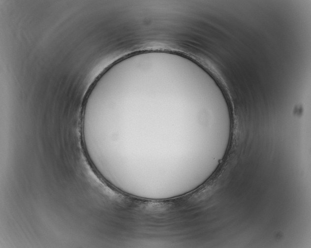 X0000113170847200909251415