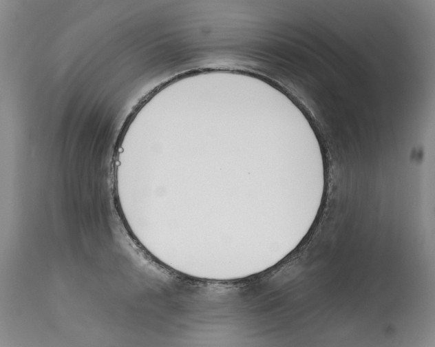 X0000113170848200909251415