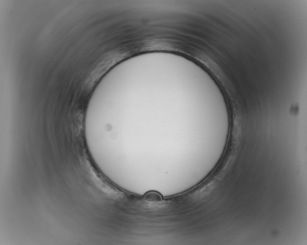 X0000113170849200909251415