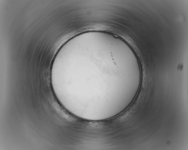 X0000113170850200909251415