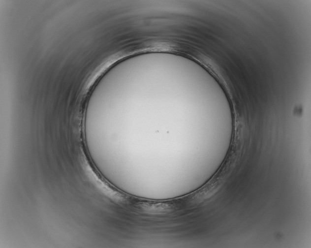 X0000113170851200909251415