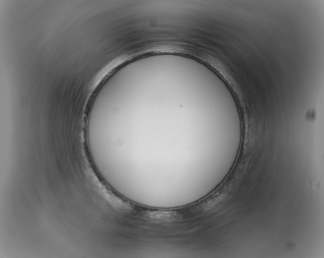 X0000113170853200909251415