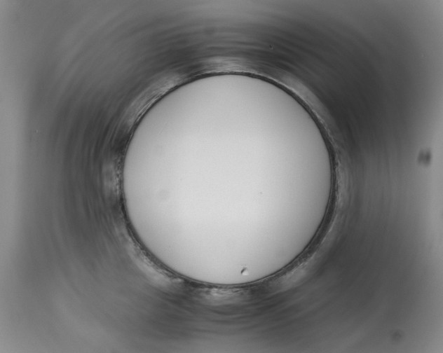 X0000113170857200909251415