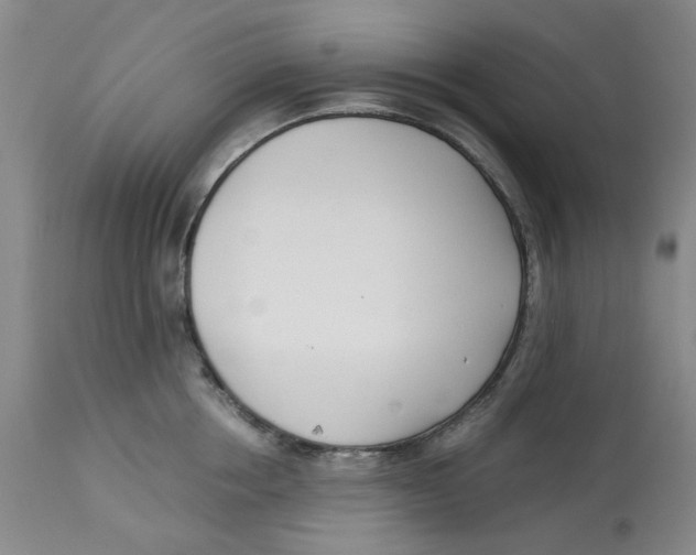 X0000113170858200909251415