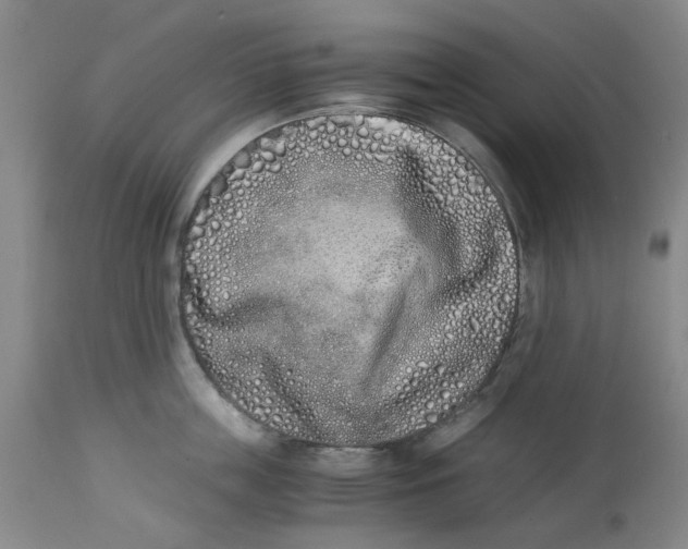 X0000113170859200909251415