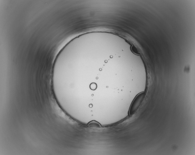 X0000113170860200909251415