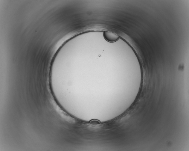 X0000113170861200909251415