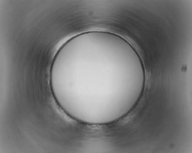 X0000113170862200909251415