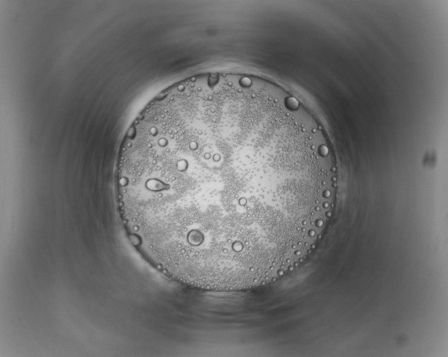 X0000113170863200909251415