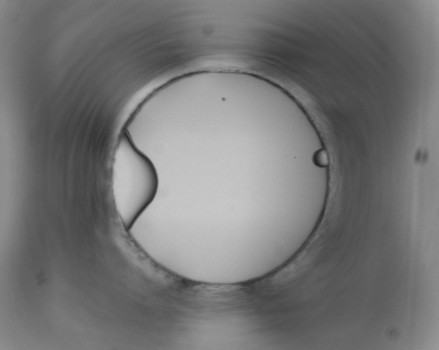 X0000113170864200909251415