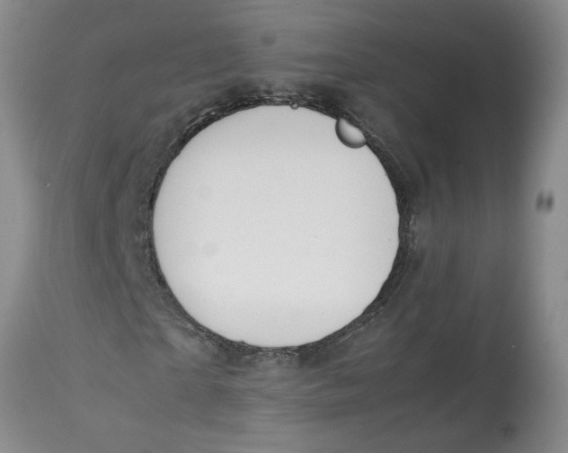 X0000113170865200909251414