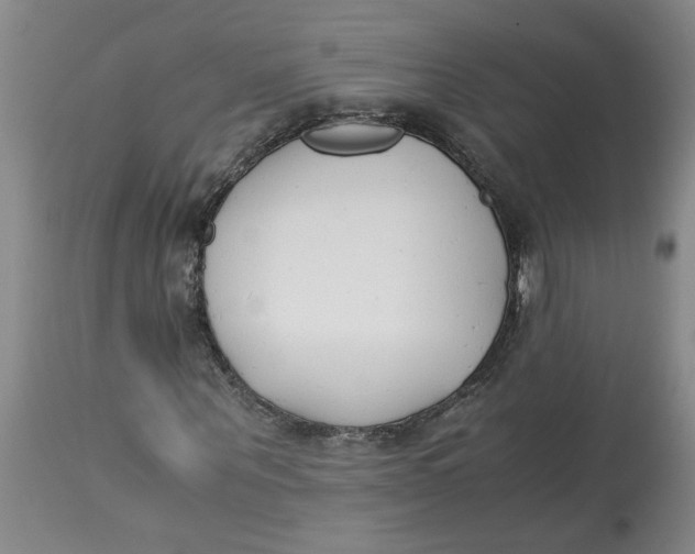 X0000113170867200909251414