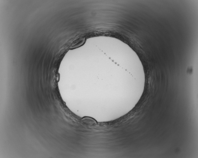 X0000113170868200909251414